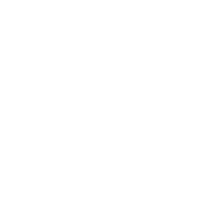 Mennonite Central Committee Logo - White
